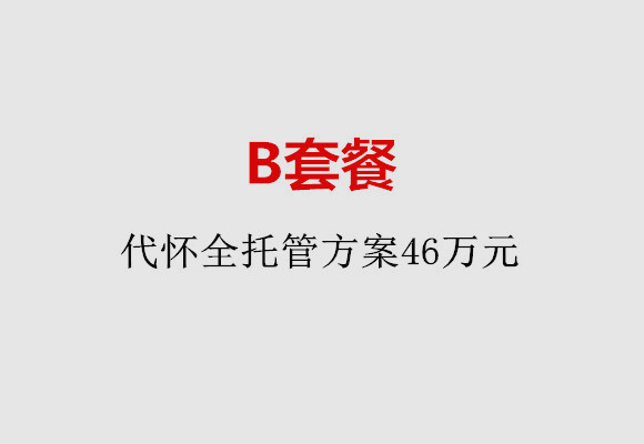 台州B套餐：代怀全托管方案46万元